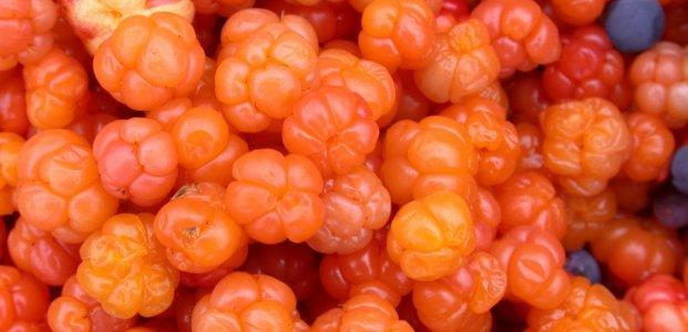 คลาวด์เบอร์รี่สด