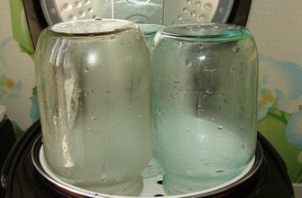 กระบวนการฆ่าเชื้อขวดโหลในหม้อทอดไร้น้ำมัน