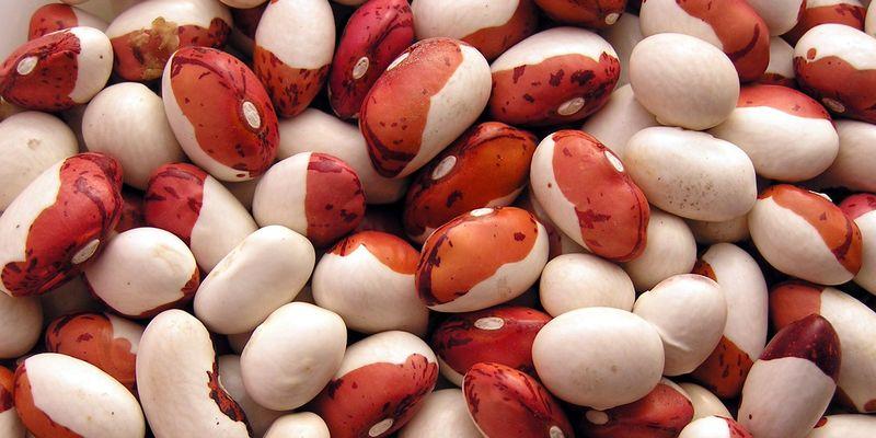 ถั่วขาว