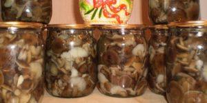 วิธีดองเห็ดโคนที่บ้านในช่วงฤดูหนาว สูตรทำเห็ดหมู