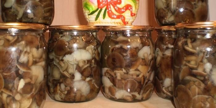 เห็ดดอง