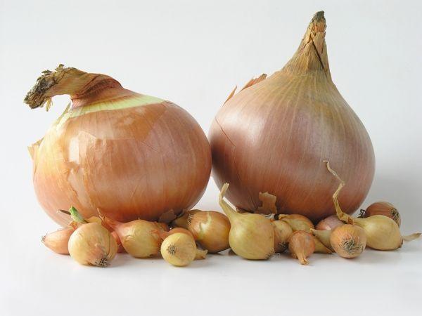 หัวหอมบนโต๊ะ