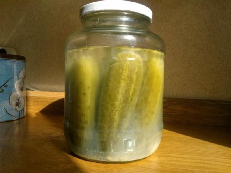 แตงกวาขุ่น