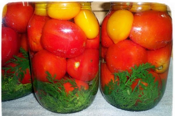 tomates de différentes couleurs avec des fanes de carottes