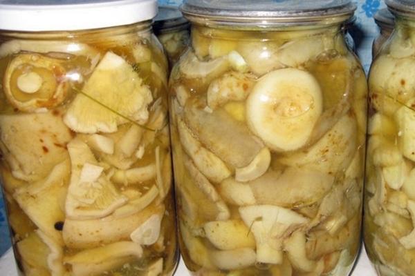 เห็ดนมสไตล์โปแลนด์ในขวด