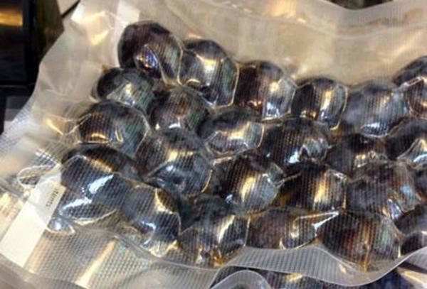 การแช่แข็งลูกพลัมในสุญญากาศ