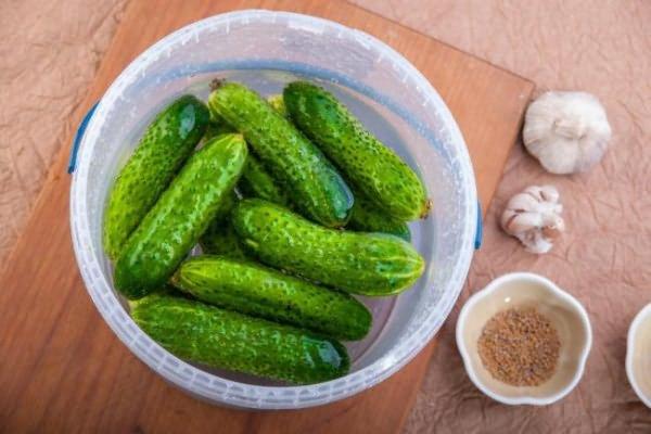 concombres dans un bol