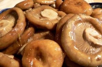 เห็ดนมเค็ม