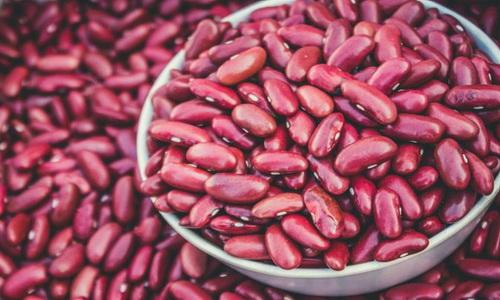 ถั่วแดง