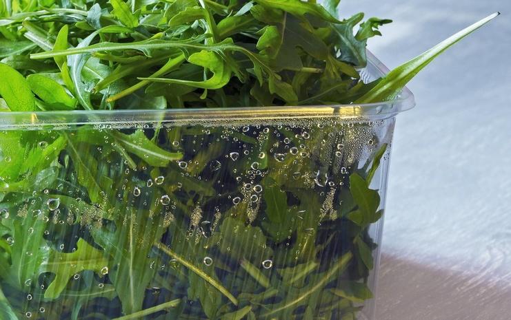 อารูกลาสด