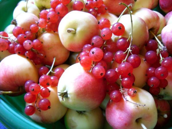 แอปเปิ้ลและลูกเกด