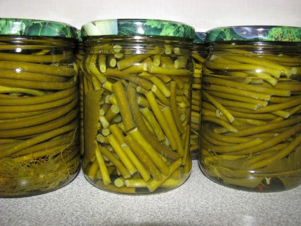 pousses d'ail en bocaux