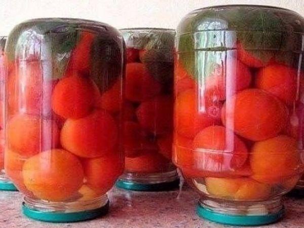 มะเขือเทศมีใบในขวด