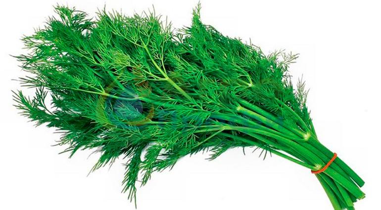 พวงผักชีลาว