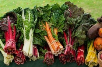 ใบชาร์ด