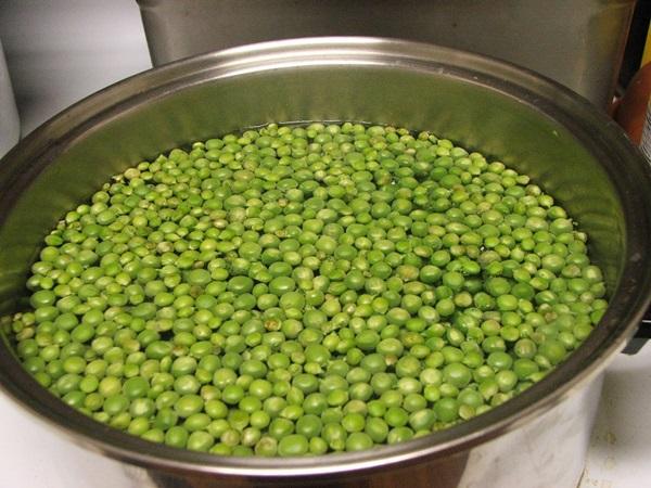 การแช่ถั่วเขียว