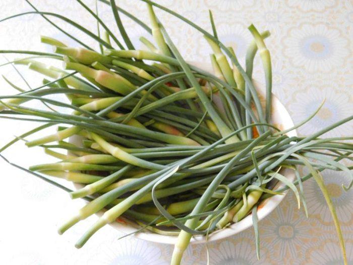 ลูกศรกระเทียม