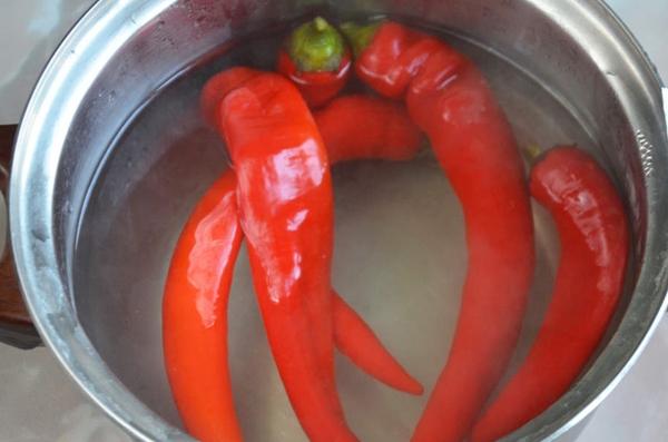 faire bouillir des piments forts