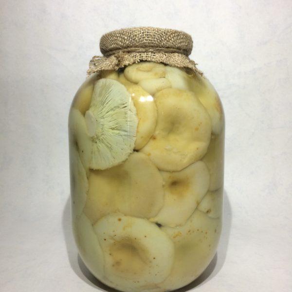 เห็ดนมเค็ม