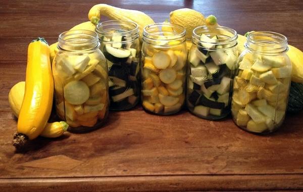 บวบและสควอชในขวด