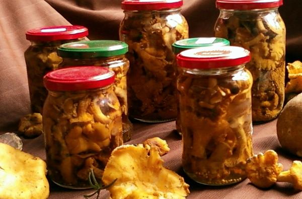 girolles marinées à la moutarde