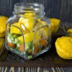 สควอชดองในขวด