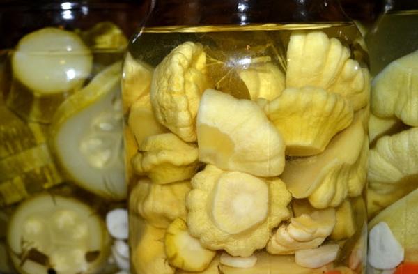 ฟักทองเหมือนเห็ดในขวด