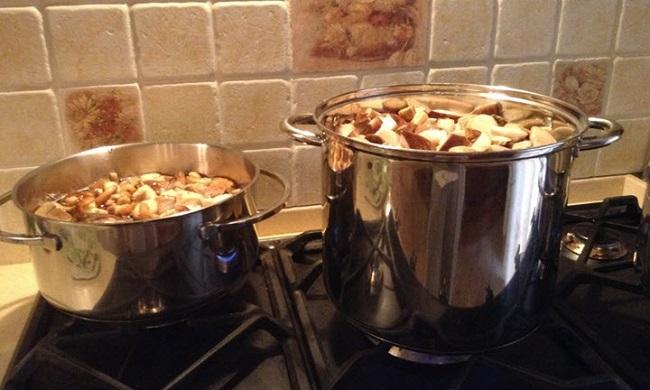 champignons bouillis