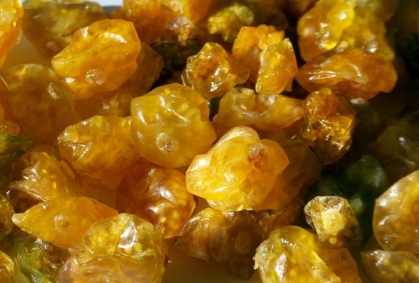 ฟิซาลิสเคลือบน้ำตาล