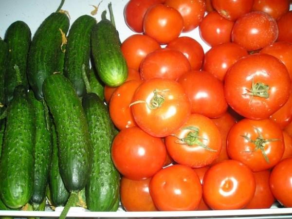 แตงกวาและมะเขือเทศ