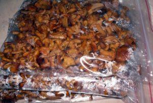 วิธีการแช่แข็งเห็ดแคนทาเรลสดสำหรับฤดูหนาวที่บ้านอย่างถูกต้องและเป็นไปได้หรือไม่