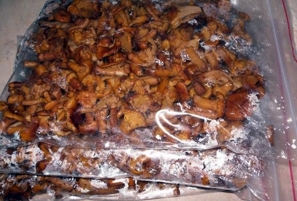 เห็ดแคนทาเรลแช่แข็ง