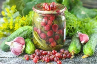 แตงกวากับลูกเกด