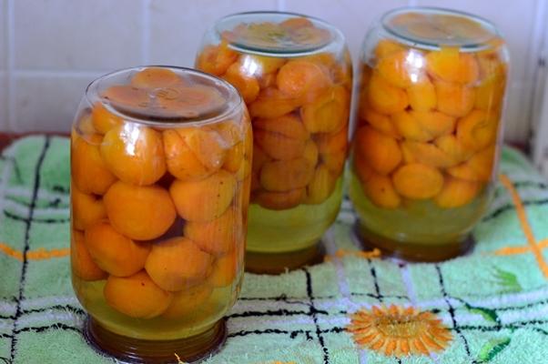 compote d'abricots concentrée
