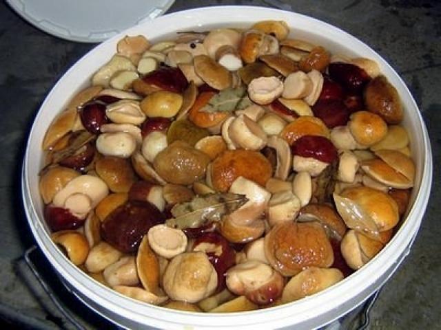 เห็ดพอร์ชินี