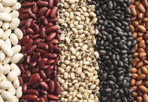 ถั่วต่างๆ