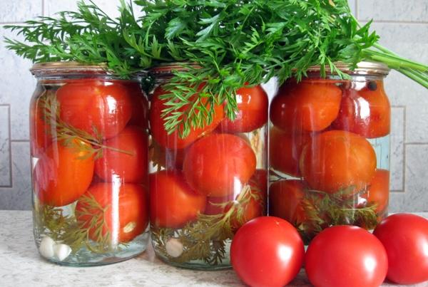 tomates avec fanes de carottes et aneth