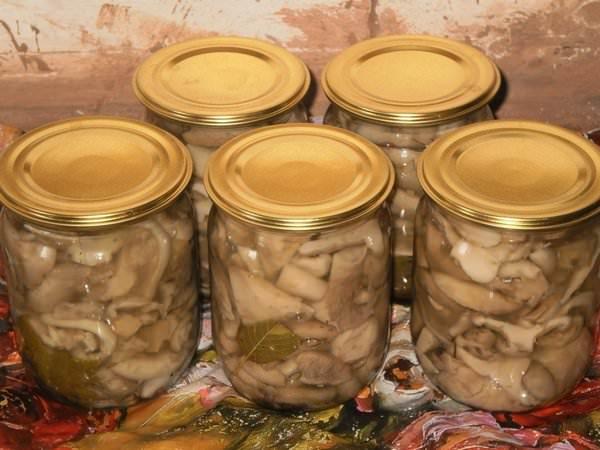 เห็ดนมดองในขวดเล็ก