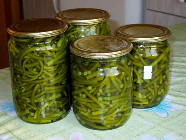 pousses d'ail dans des bocaux sur la table