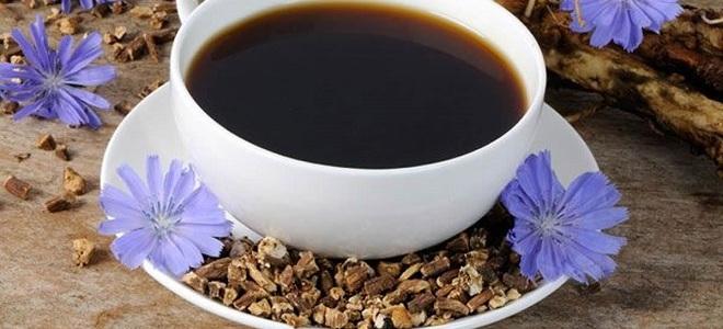 ชิโครีต้ม