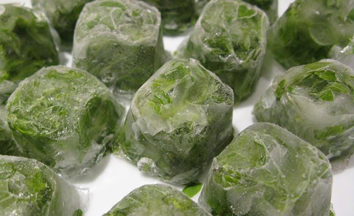 ขึ้นฉ่ายแช่แข็ง