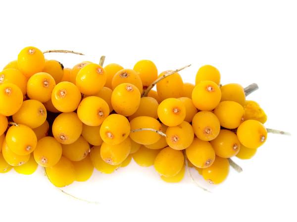 ซีบัคธอร์น