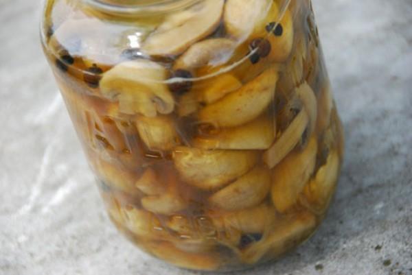 champignons en bocal