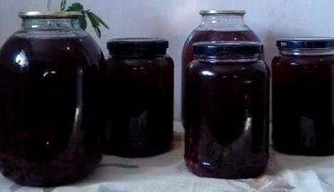 คอมโพทเชอร์รี่นกแดง