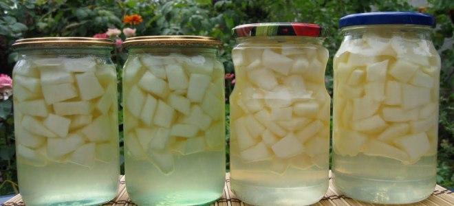 คอมโพทแตงโม