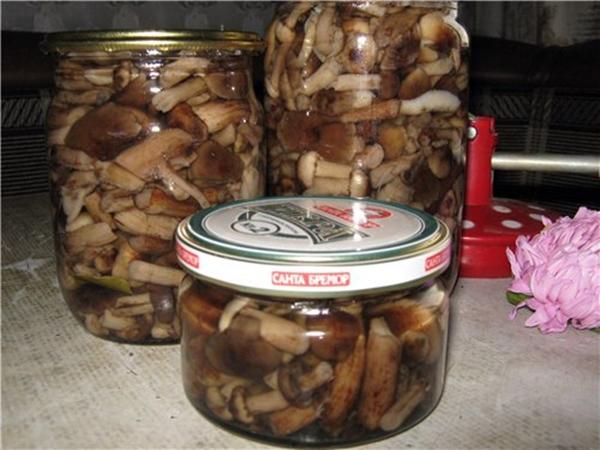 เห็ดขมในขวดบนโต๊ะ