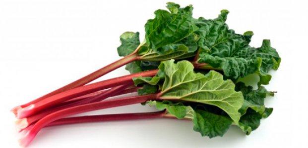 รูบาร์บสด