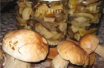 เห็ดโบเลตัสสำหรับฤดูหนาว
