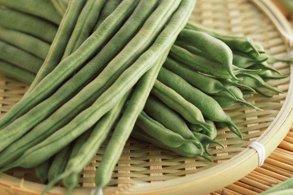 ฝักถั่ว