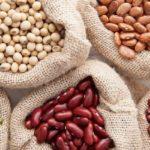 ถั่วต่างๆ
